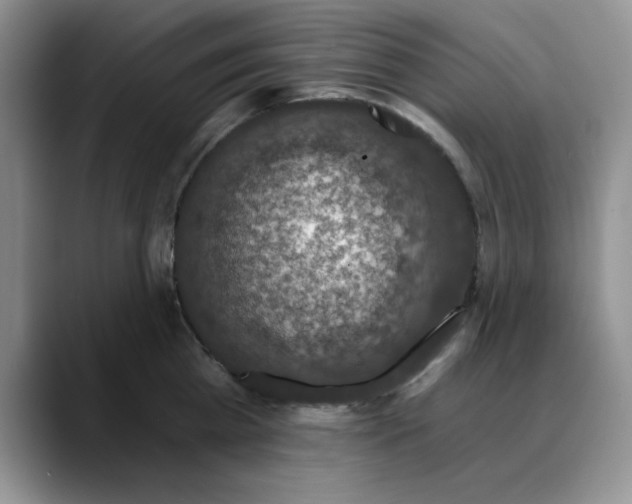 X0000088430809200706121449