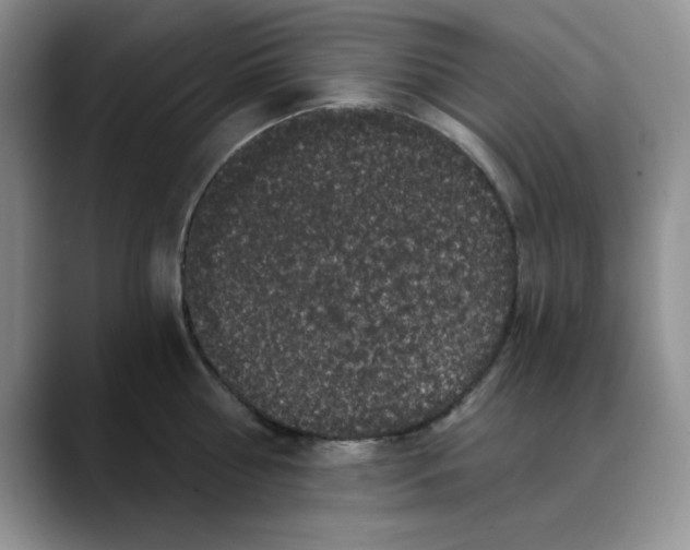 X0000088430810200706121449