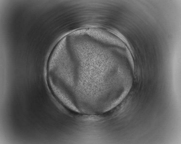 X0000088430811200706121449