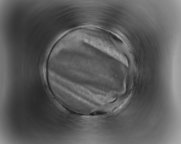 X0000088430812200706121449