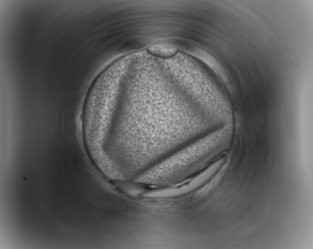 X0000088430814200706121449