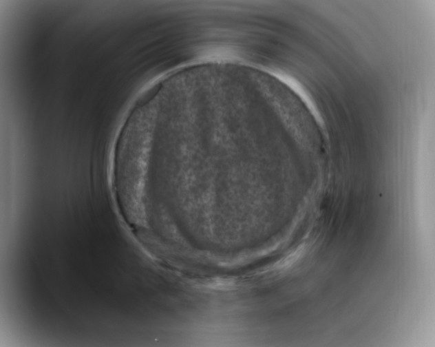 X0000088430815200706121449