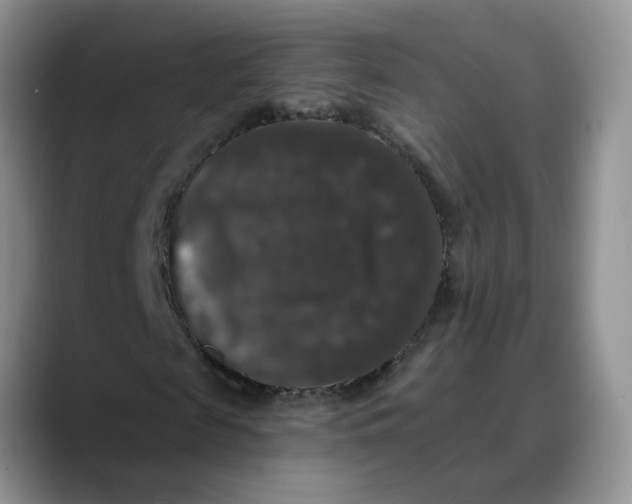 X0000088430817200706121449