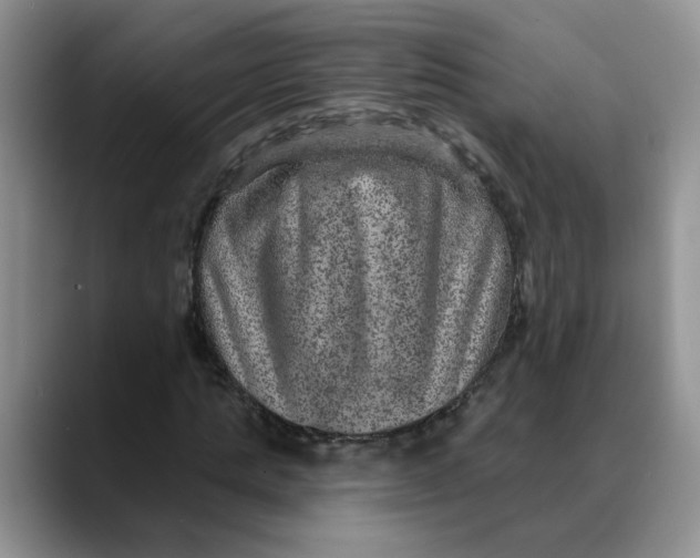 X0000088430821200706121449