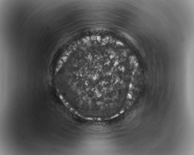 X0000088430823200706121449