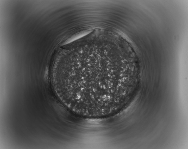 X0000088430825200706121449