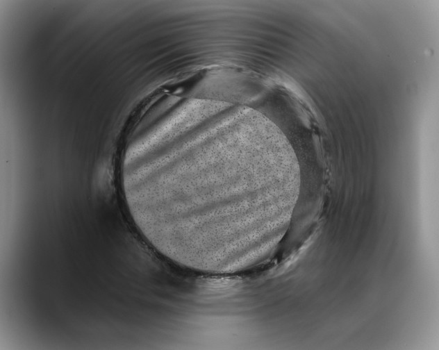 X0000088430826200706121449