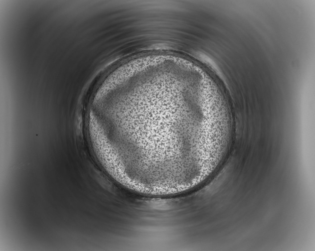 X0000088430827200706121449