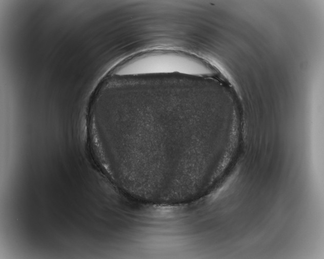 X0000088430829200706121449