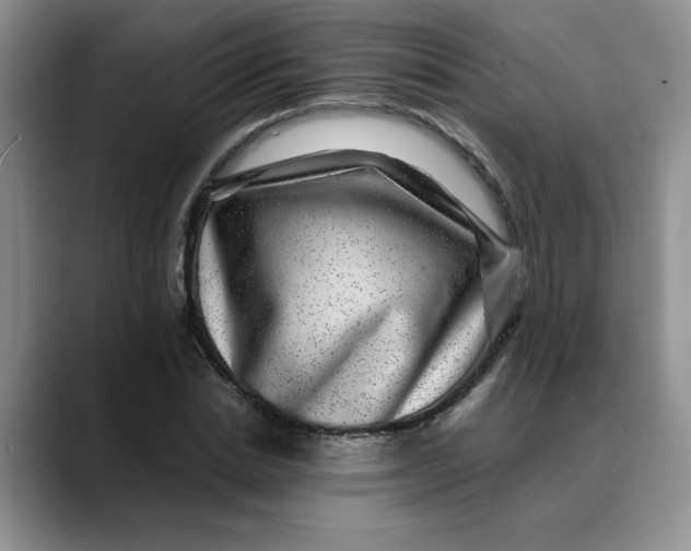 X0000088430830200706121449