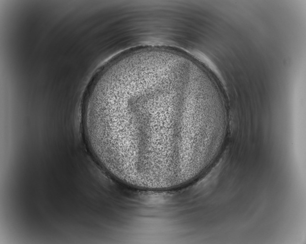 X0000088430831200706121449