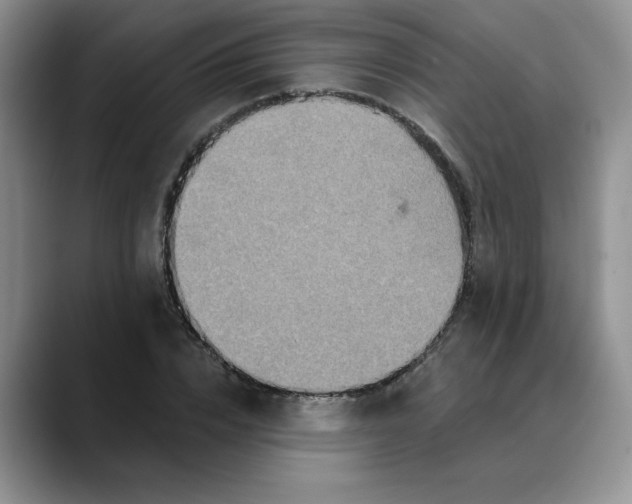 X0000088430832200706121449