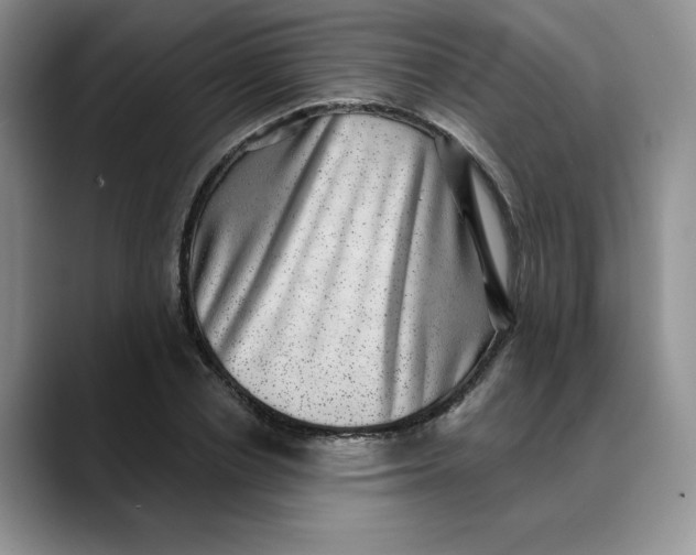 X0000088430834200706121449