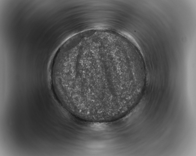 X0000088430835200706121449