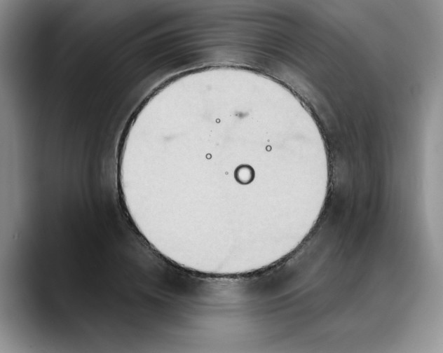 X0000088430836200706121449