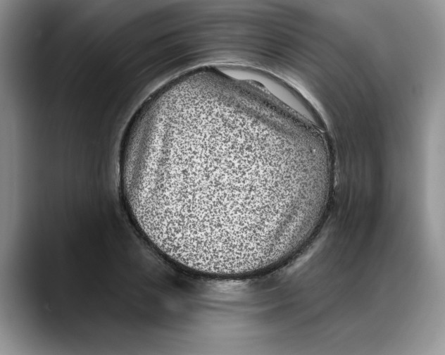 X0000088430837200706121449