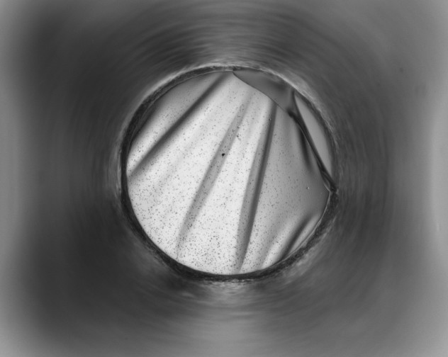 X0000088430838200706121449