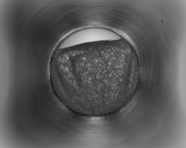 X0000088430839200706121449