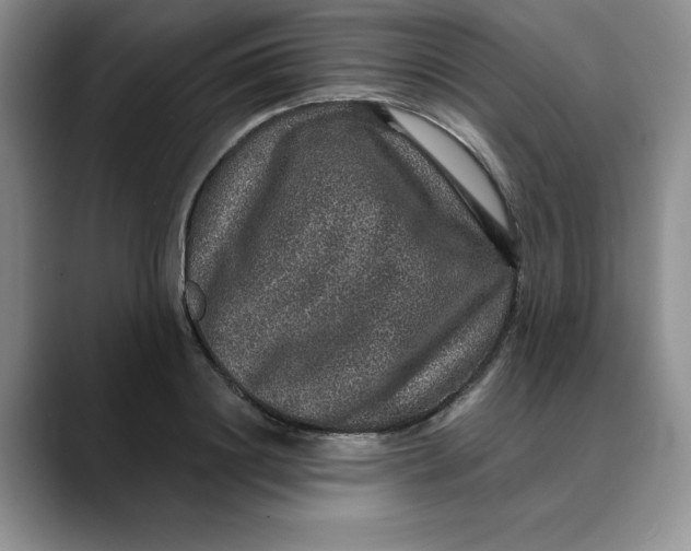 X0000088430844200706121449