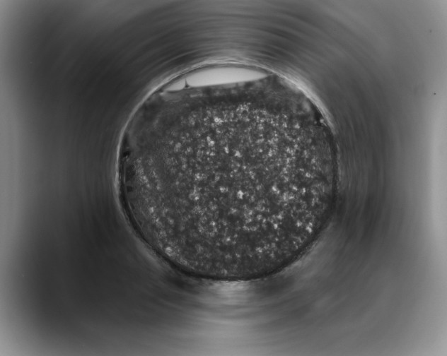 X0000088430845200706121449