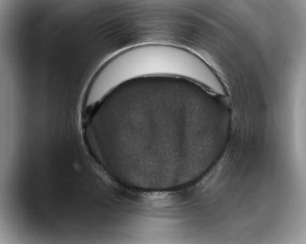 X0000088430846200706121449