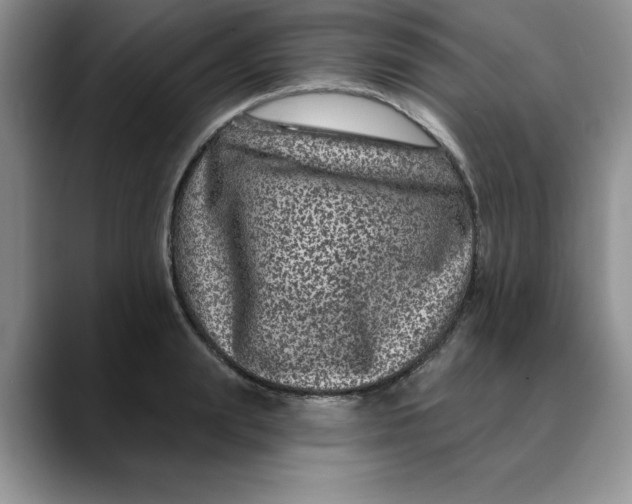 X0000088430847200706121449