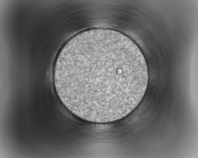 X0000088430848200706121449