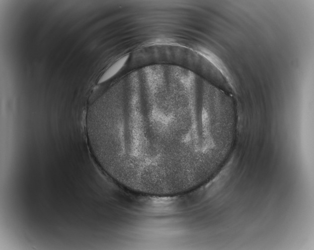 X0000088430849200706121449