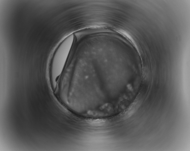 X0000088430851200706121449