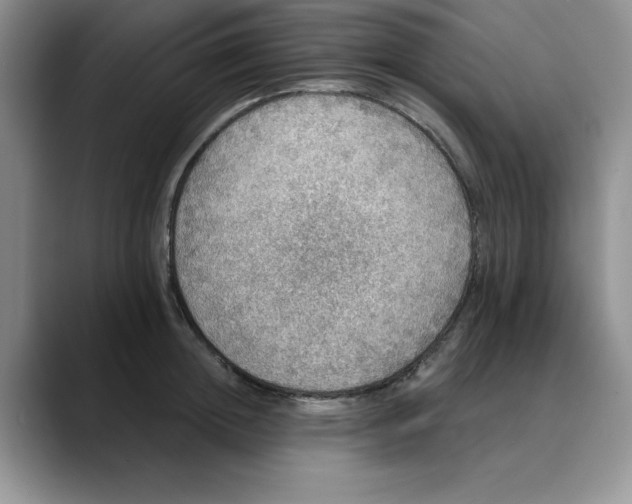 X0000088430852200706121449