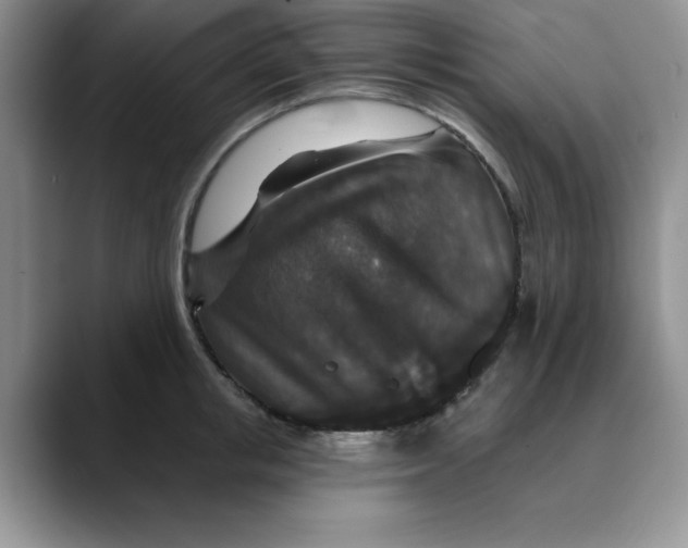 X0000088430853200706121449