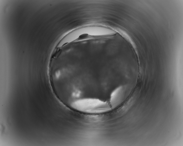 X0000088430855200706121449