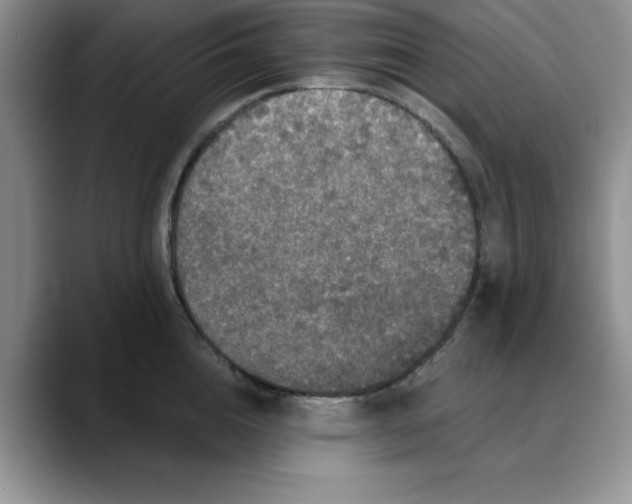 X0000088430856200706121449