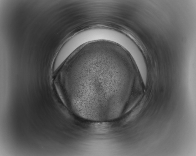 X0000088430858200706121449