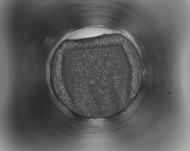 X0000088430859200706121449