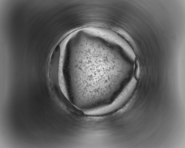 X0000088430860200706121449