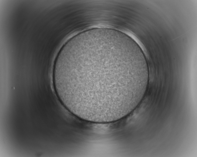 X0000088430861200706121449