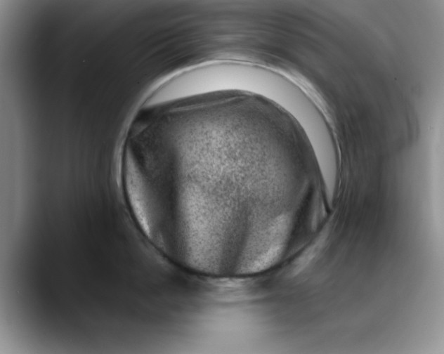 X0000088430862200706121449