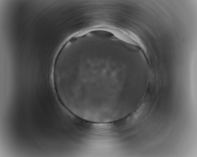 X0000088430863200706121449