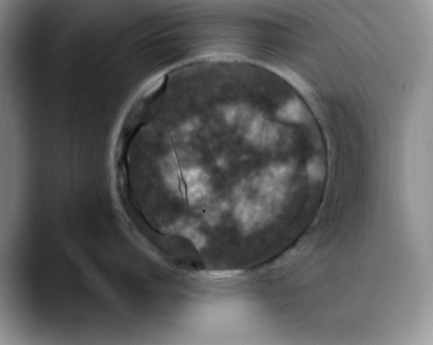 X0000088430864200706121449