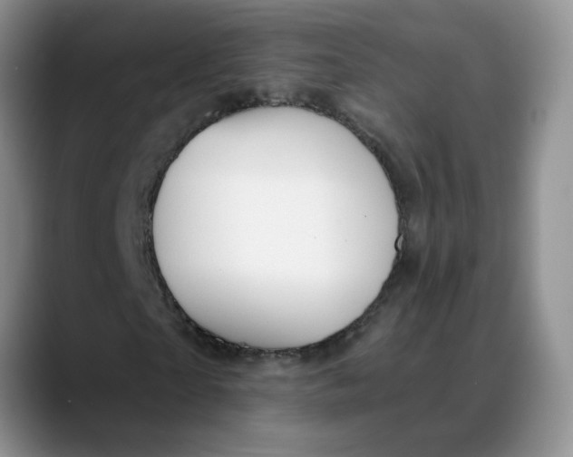 X0000088430865200706121449