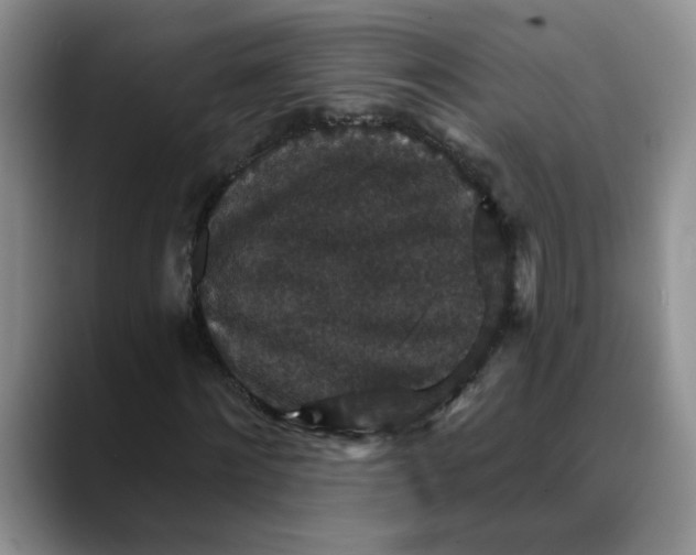 X0000088430868200706121449