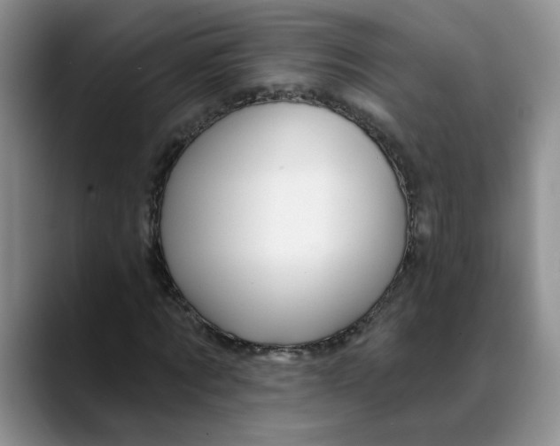 X0000088430869200706121449