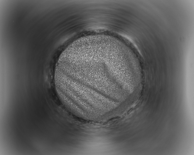 X0000088430871200706121449