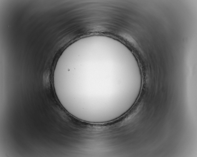 X0000088430873200706121449