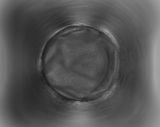 X0000088430876200706121449