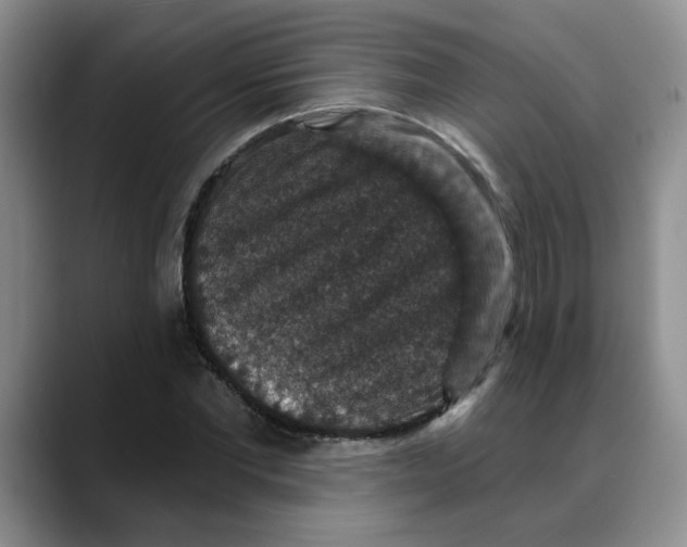 X0000088430877200706121449