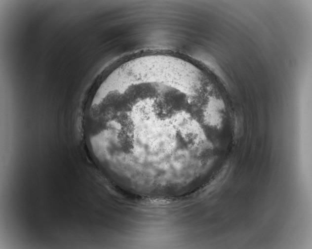 X0000088430878200706121449