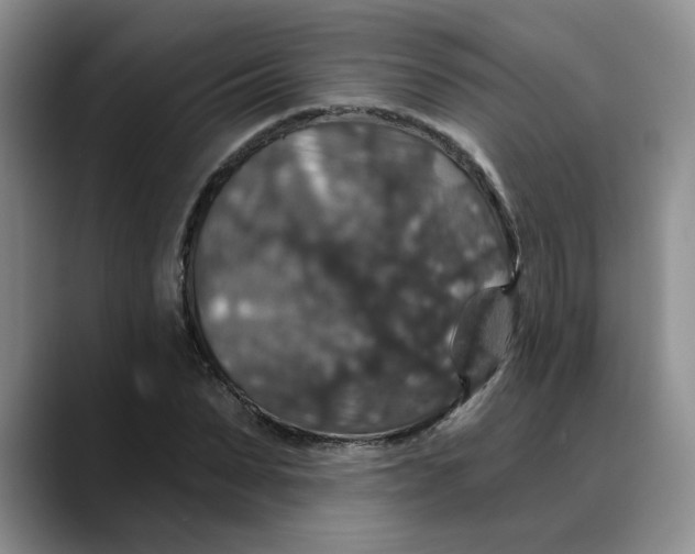 X0000088430879200706121449