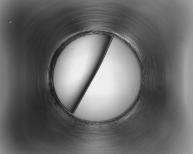 X0000088430880200706121449